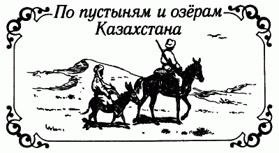 Встречи с животными - img_71.png