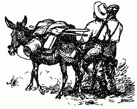 Встречи с животными - img_72.png