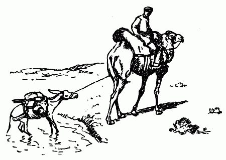 Встречи с животными - img_73.png