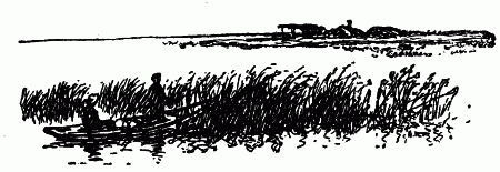 Встречи с животными - img_77.png