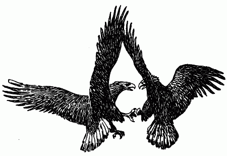 Встречи с животными - img_78.png