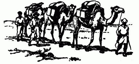 Встречи с животными - img_94.png