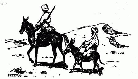 Встречи с животными - img_95.png