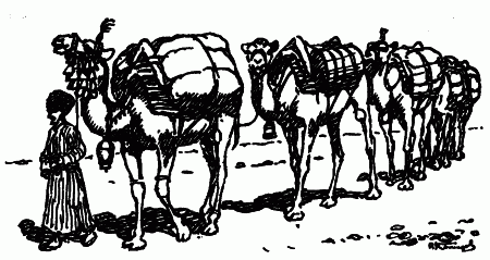 Встречи с животными - img_136.png