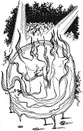 Вогняний вершник - doc2fb_image_03000010.png