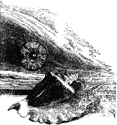 Можливість відповіді - doc2fb_image_0300000A.png