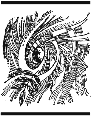 Крок вікінга - doc2fb_image_03000010.png