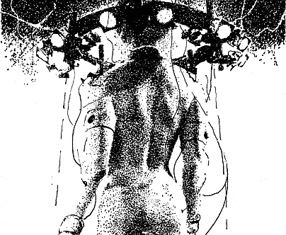 Година бика - doc2fb_image_03000008.png