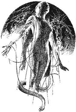 Година бика - doc2fb_image_03000019.png