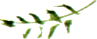 Байкала-озера сказки Том II разд.1 - i_009.png