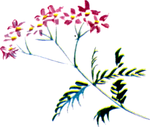 Байкала-озера сказки Том II разд.1 - i_012.png