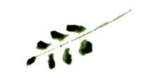 Байкала-озера сказки Том II  разд.1 - i_034.png