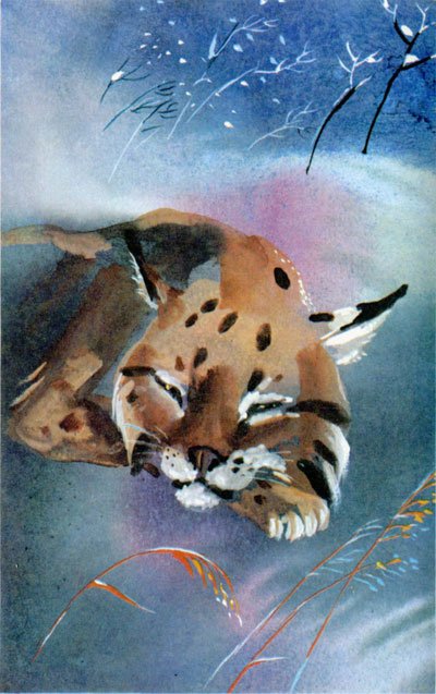 Байкала-озера сказки Том II  разд.1 - i_035.jpg