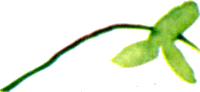 Байкала-озера сказки Том II  разд.1 - i_048.png