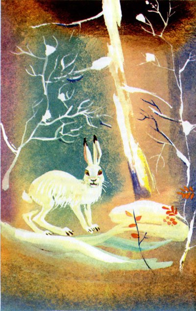 Байкала-озера сказки Том II  разд.1 - i_054.jpg