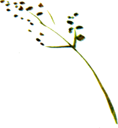 Байкала-озера сказки Том II  разд.1 - i_071.png