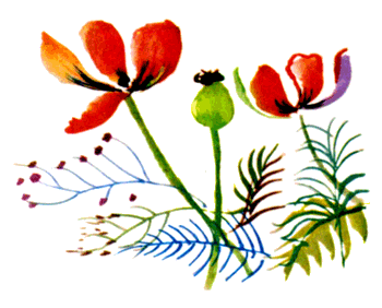 Байкала-озера сказки Том II  разд.1 - i_075.png