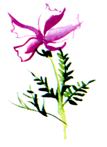 Байкала-озера сказки Том II  разд.1 - i_101.png