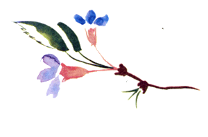 Байкала-озера сказки Том II  разд.1 - i_114.png
