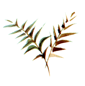 Байкала-озера сказки  Том II  разд.2 - i_005.png