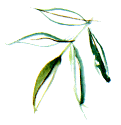 Байкала-озера сказки  Том II  разд.2 - i_008.png