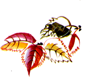 Байкала-озера сказки  Том II  разд.2 - i_010.png