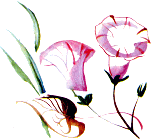 Байкала-озера сказки  Том II  разд.2 - i_020.png