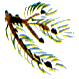 Байкала-озера сказки  Том II  разд.2 - i_038.png