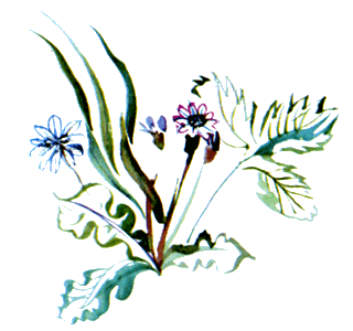 Байкала-озера сказки Том II разд.2 - i_046.png