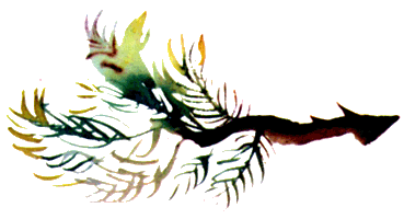 Байкала-озера сказки  Том II  разд.2 - i_060.png