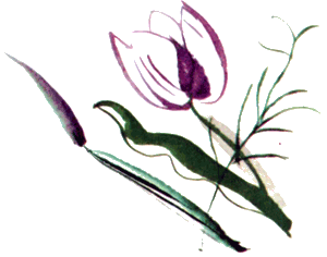 Байкала-озера сказки  Том II  разд.2 - i_065.png