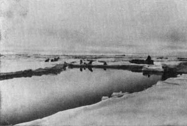 Пешком через Ледовитый океан - _12.jpg