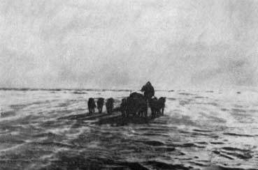 Пешком через Ледовитый океан - _26.jpg