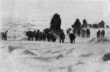 Пешком через Ледовитый океан - _28.jpg