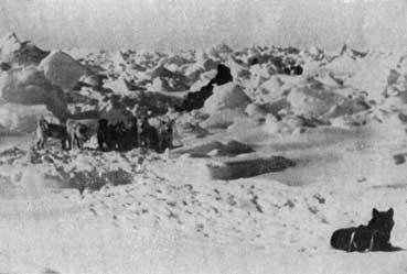 Пешком через Ледовитый океан - _3.jpg