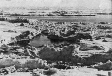 Пешком через Ледовитый океан - _30.jpg