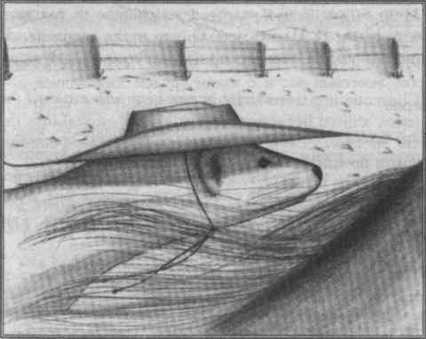 Хорьки-фермеры - Pic06.jpg