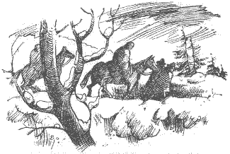 Призраки бизонов. Американские писатели о Дальнем Западе - doc2fb_image_02000009.png