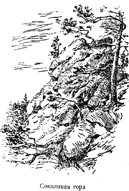 Следопыты Ильменских гор - img_10.png