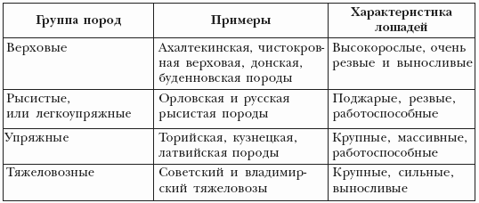 Болезни лошадей - i_002.png