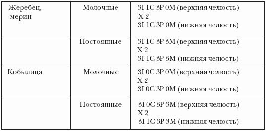Болезни лошадей - i_017.png