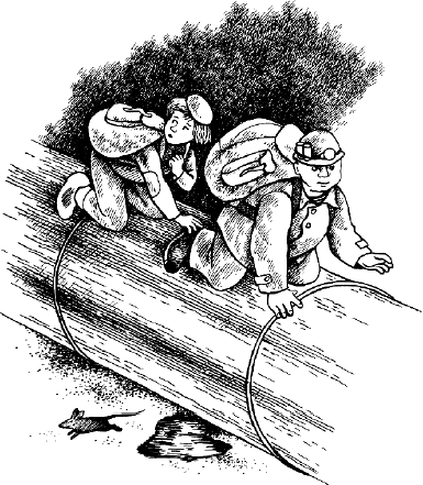 Заговорщики - i_017.png