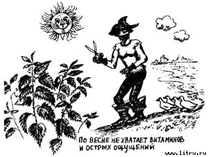 Книга про еду [Моя поваренная книга] - str_261.jpg