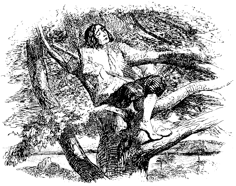 Робинзон Крузо (адаптированный вариант для детей) - i_007.png