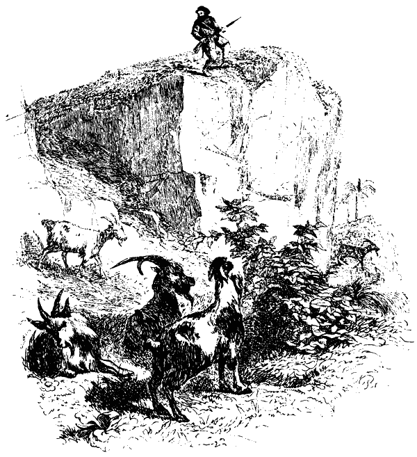 Робинзон Крузо (адаптированный вариант для детей) - i_009.png