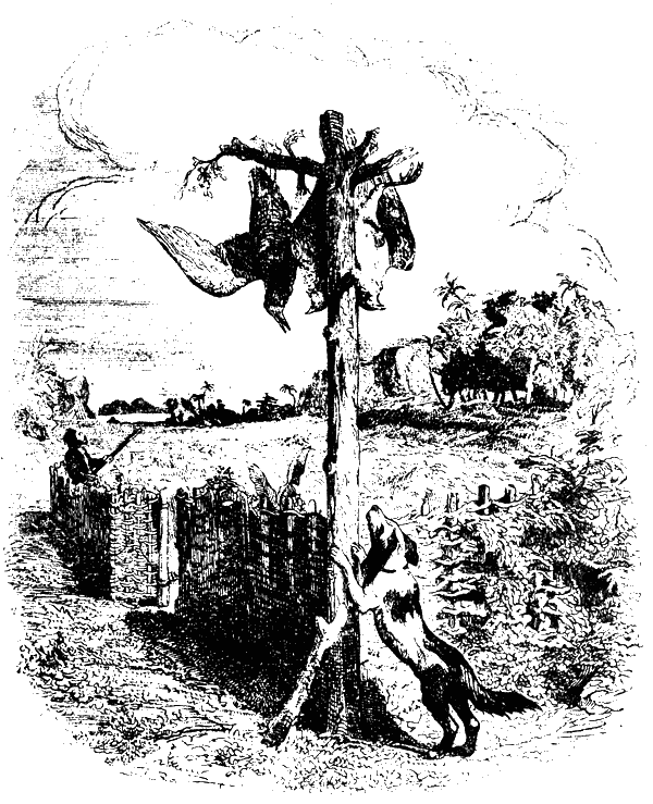 Робинзон Крузо (адаптированный вариант для детей) - i_016.png