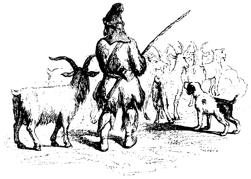 Робинзон Крузо (адаптированный вариант для детей) - i_035.png
