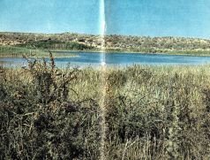 Тропинки в загадочный мир [с иллюстрациями] - pic_32.jpg