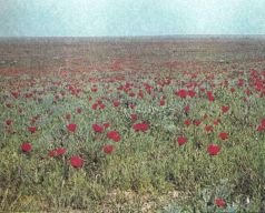 Тропинки в загадочный мир [с иллюстрациями] - pic_38.jpg