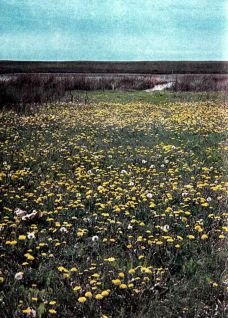 Тропинки в загадочный мир [с иллюстрациями] - pic_39.jpg